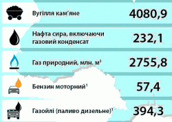 Інфографіка: Використання енергоресурсів в Україні