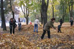 благоустройство