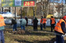 На житомирских бигбордах появится реклама… субботников