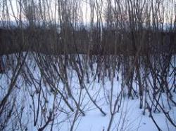 жкх волыни